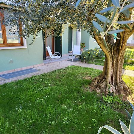 La Casa Sul Parco Lejlighed Valeggio sul Mincio Eksteriør billede